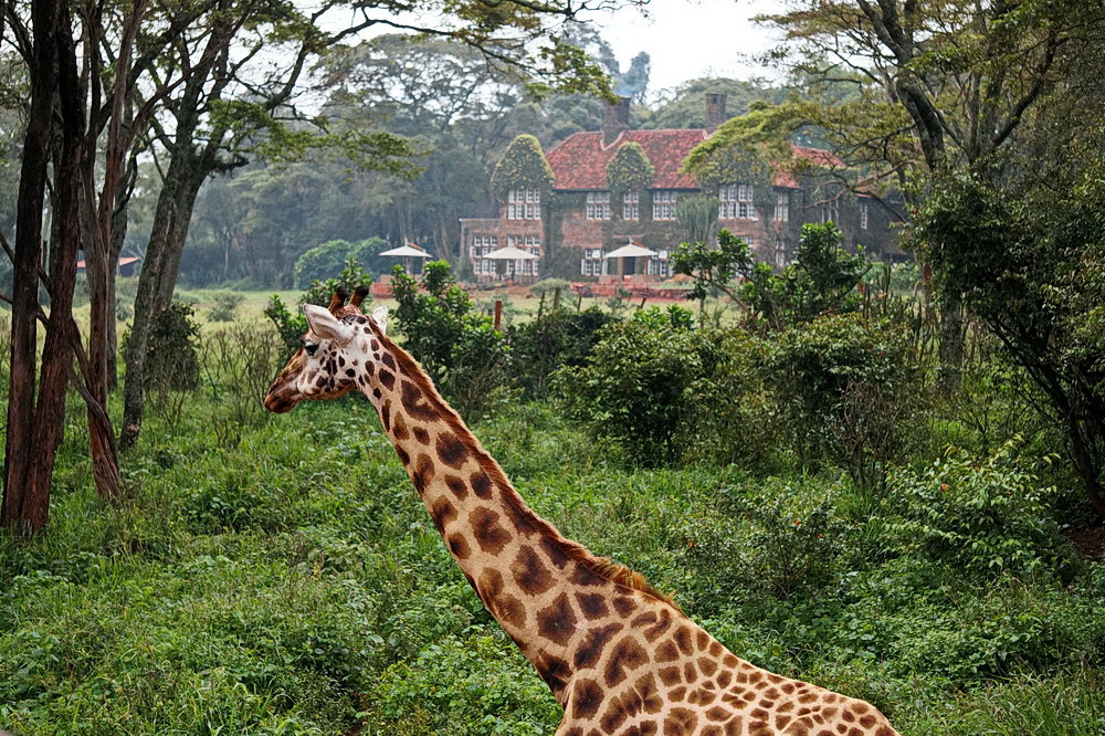 Без пляжей и сафари: что ждет туристов на отдыхе в "другой" Кении